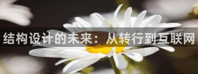 正规辉达娱乐在线游戏