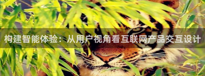 辉达娱乐多少年