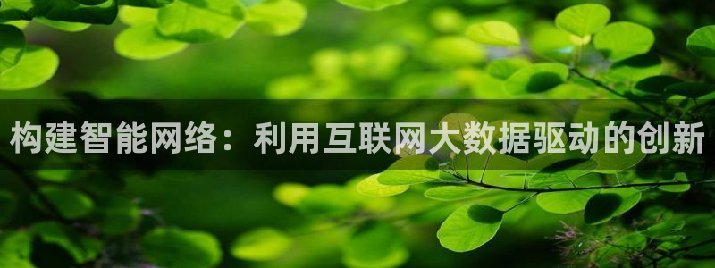 代理辉达娱乐