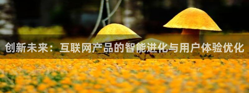 辉达娱乐丶75505