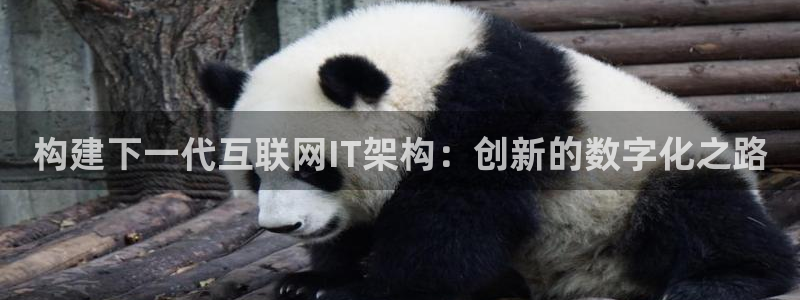 辉达娱乐五39444