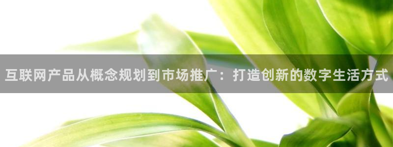 辉达娱乐总部