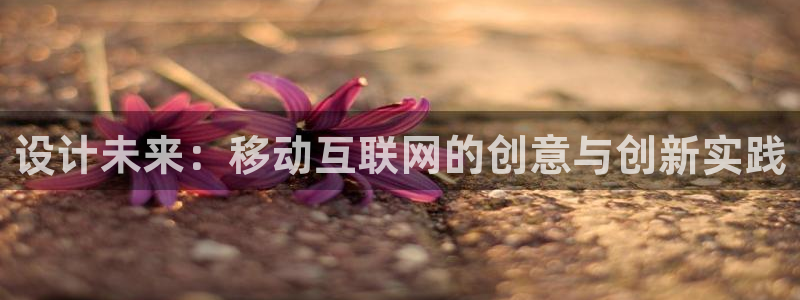 辉达娱乐排列三
