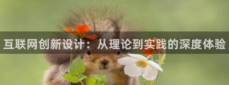 辉达娱乐游戏.直开.中国
