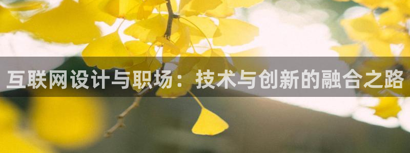 辉达娱乐属于什么档次