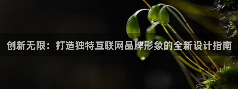 信誉辉达娱乐官方网址
