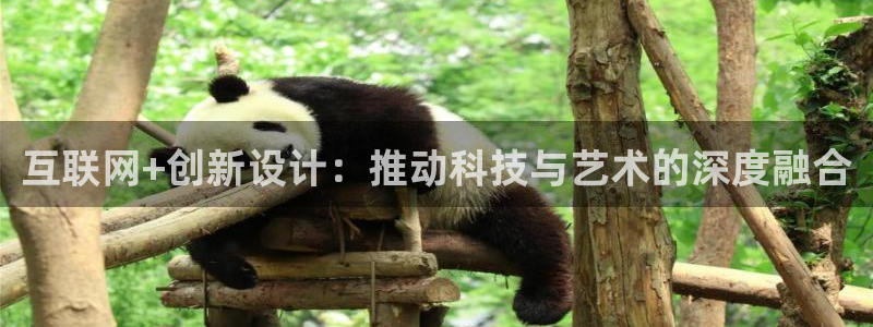 辉达娱乐己39444