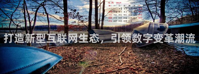 辉达娱乐官方网址