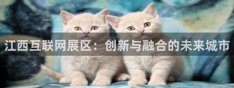 辉达娱乐分红：江西互联网展区：
