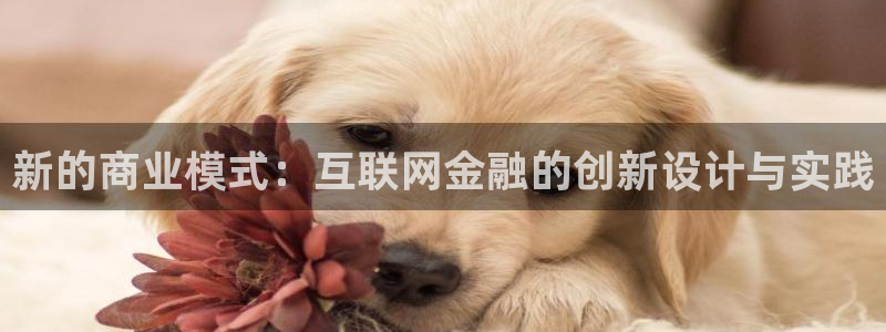辉达娱乐五39444