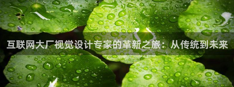 辉达娱乐正规吗：互联网大厂视觉