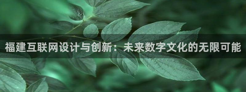 辉达娱乐兼职：福建互联网设计与