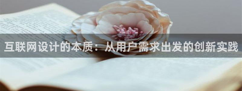 辉达怎么样