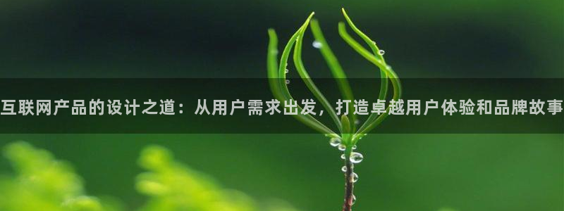 辉达娱乐珈75775