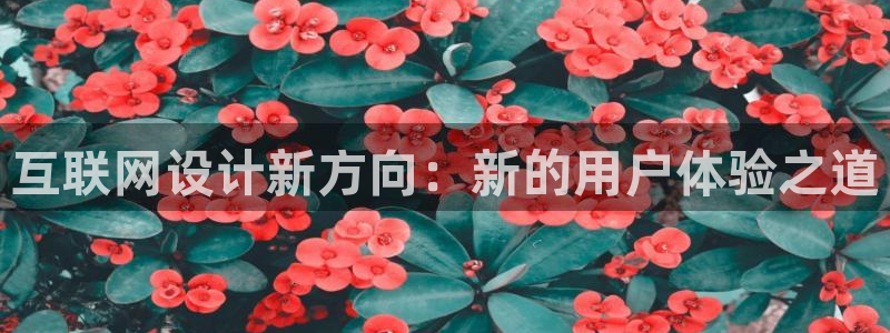 辉达娱乐加q75775