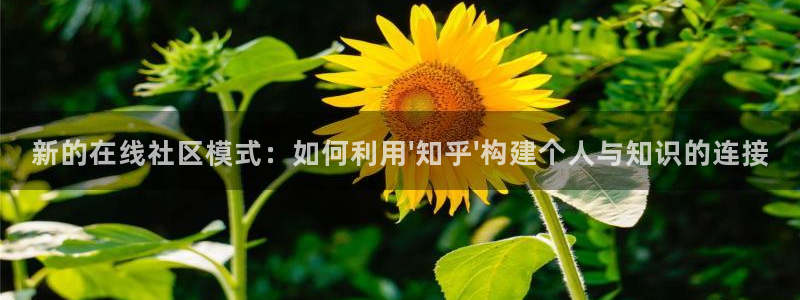 专业辉达娱乐平台