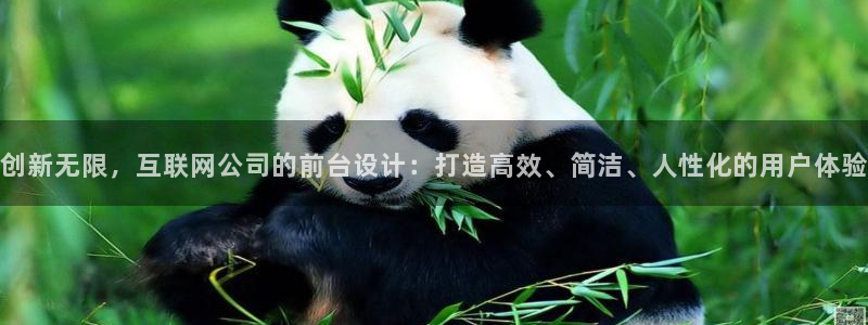 辉达娱乐电子游艺