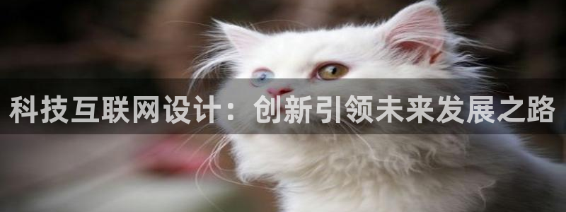 信誉辉达娱乐官方网址