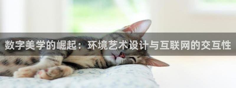 菲律宾辉达娱乐
