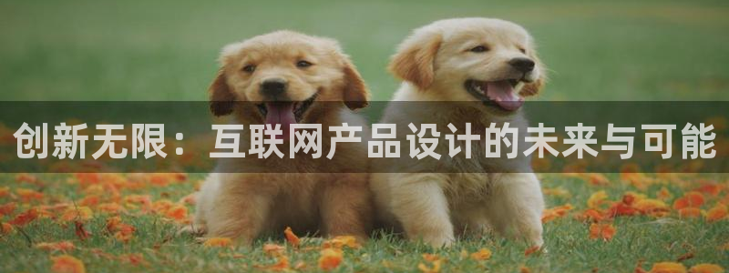辉达娱乐开户注册：创新无限：互