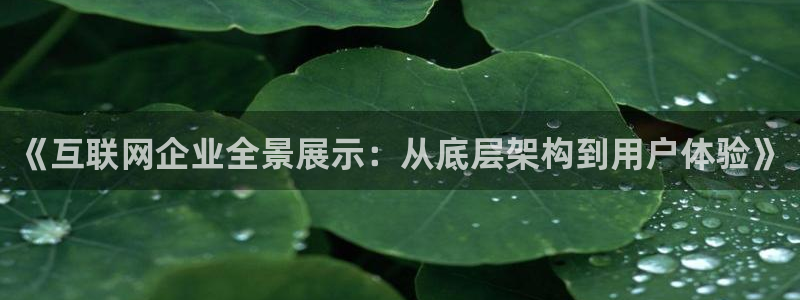 代理辉达娱乐官方网址
