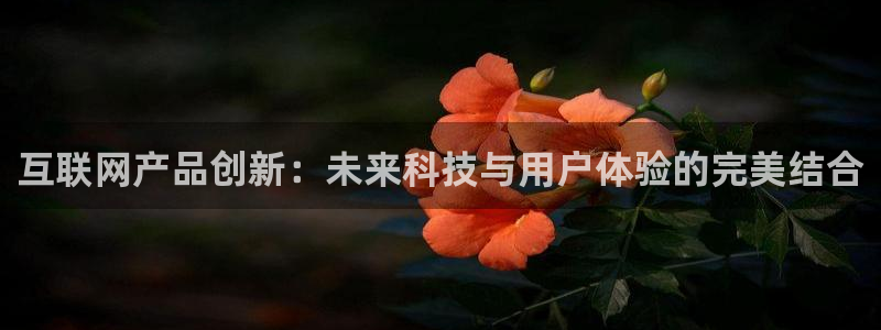 辉达娱乐线路检测