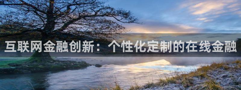 辉达娱乐公司