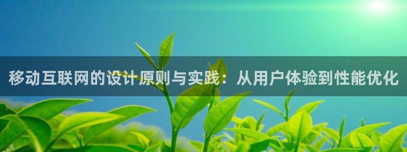 辉达娱乐己75505