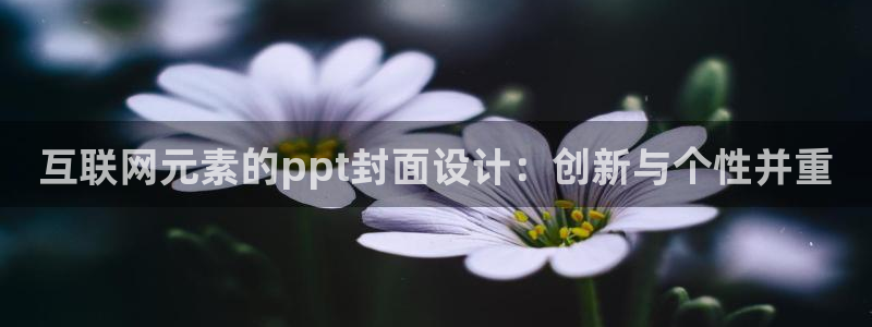 代理辉达娱乐