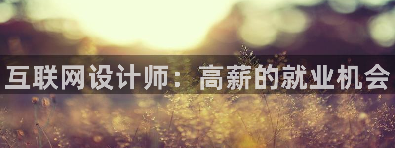 辉达平台官网下载