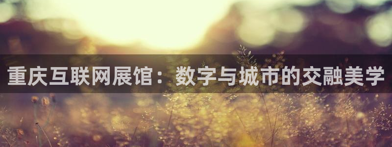 辉达娱乐多少年