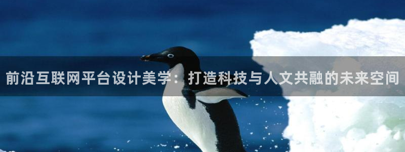 辉达平台官网电话