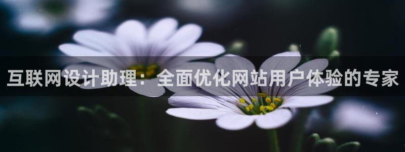代理辉达娱乐