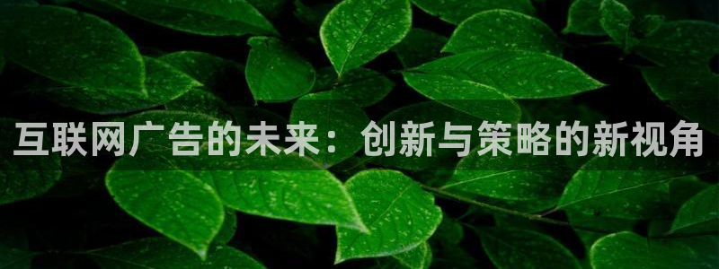 辉达娱乐计划软件